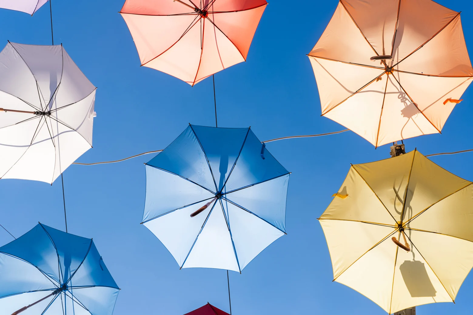 multiple colors of premium gift umbrella hanging on a road