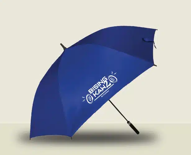 umbrella (2)